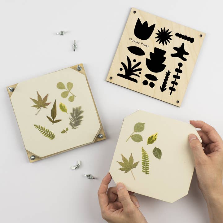 Studio Wald - Wholesale DIY Craft Kit - Flower Press - Abstract