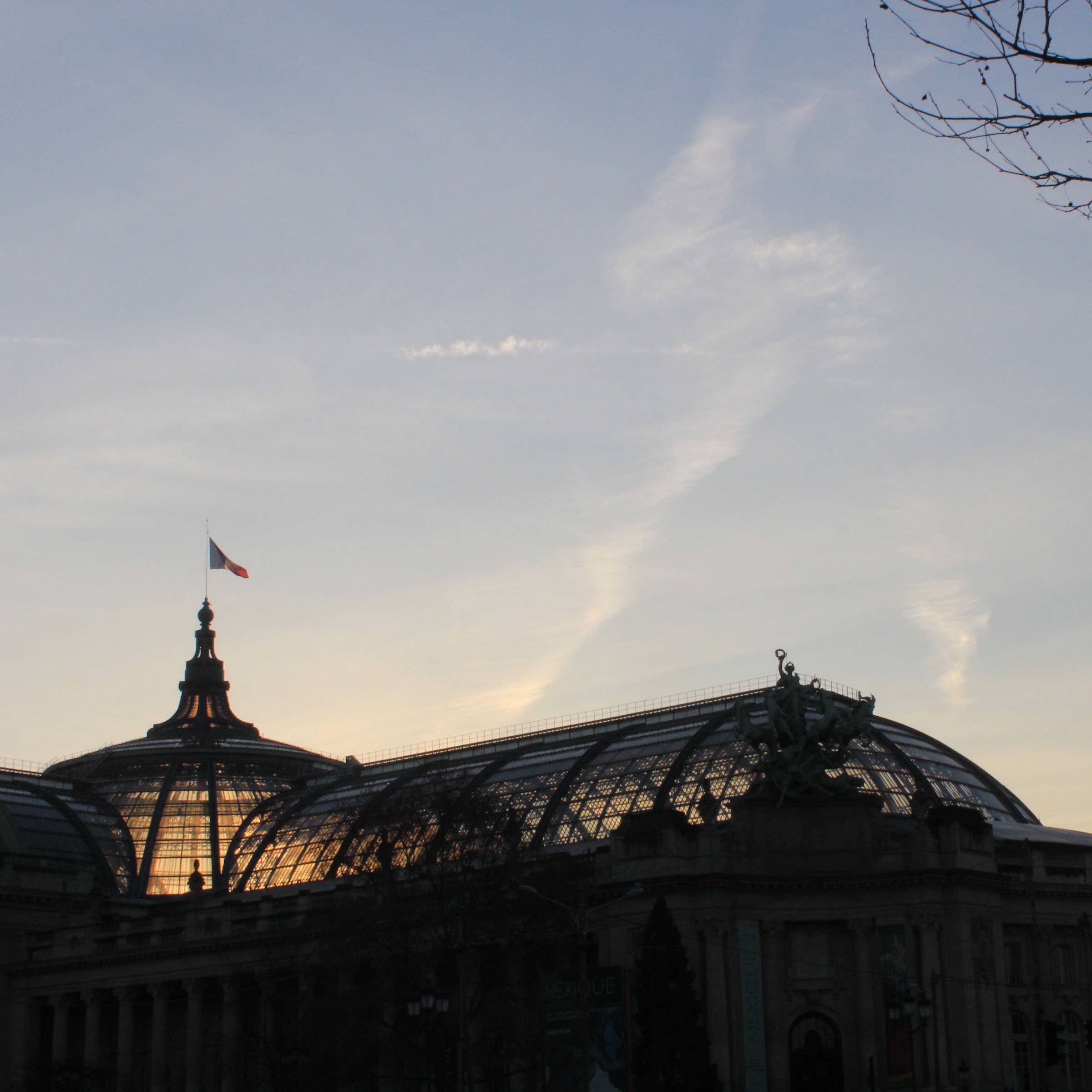 Curio Spice Co - Wholesale Dried Spice - Fleur Spice2