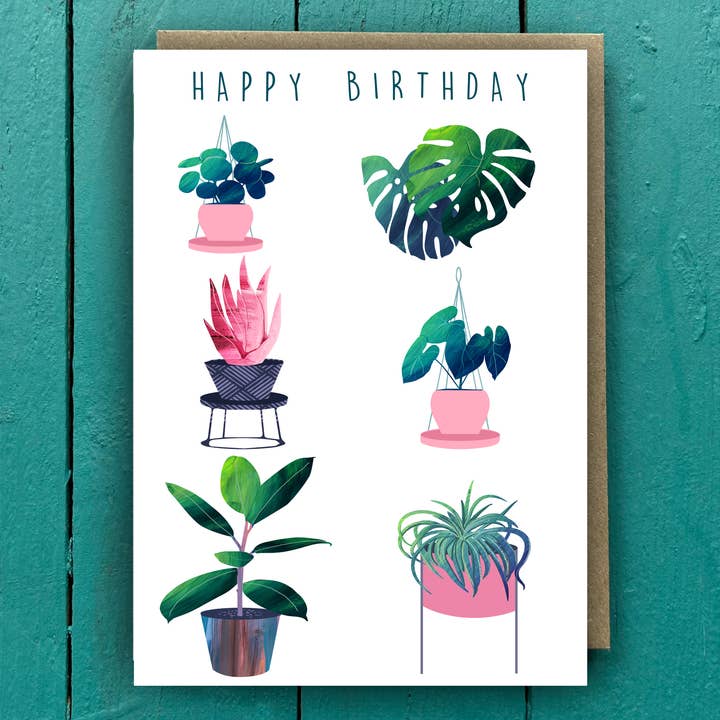 Houseplants Birthday Card for wholesale by Rocket 68
