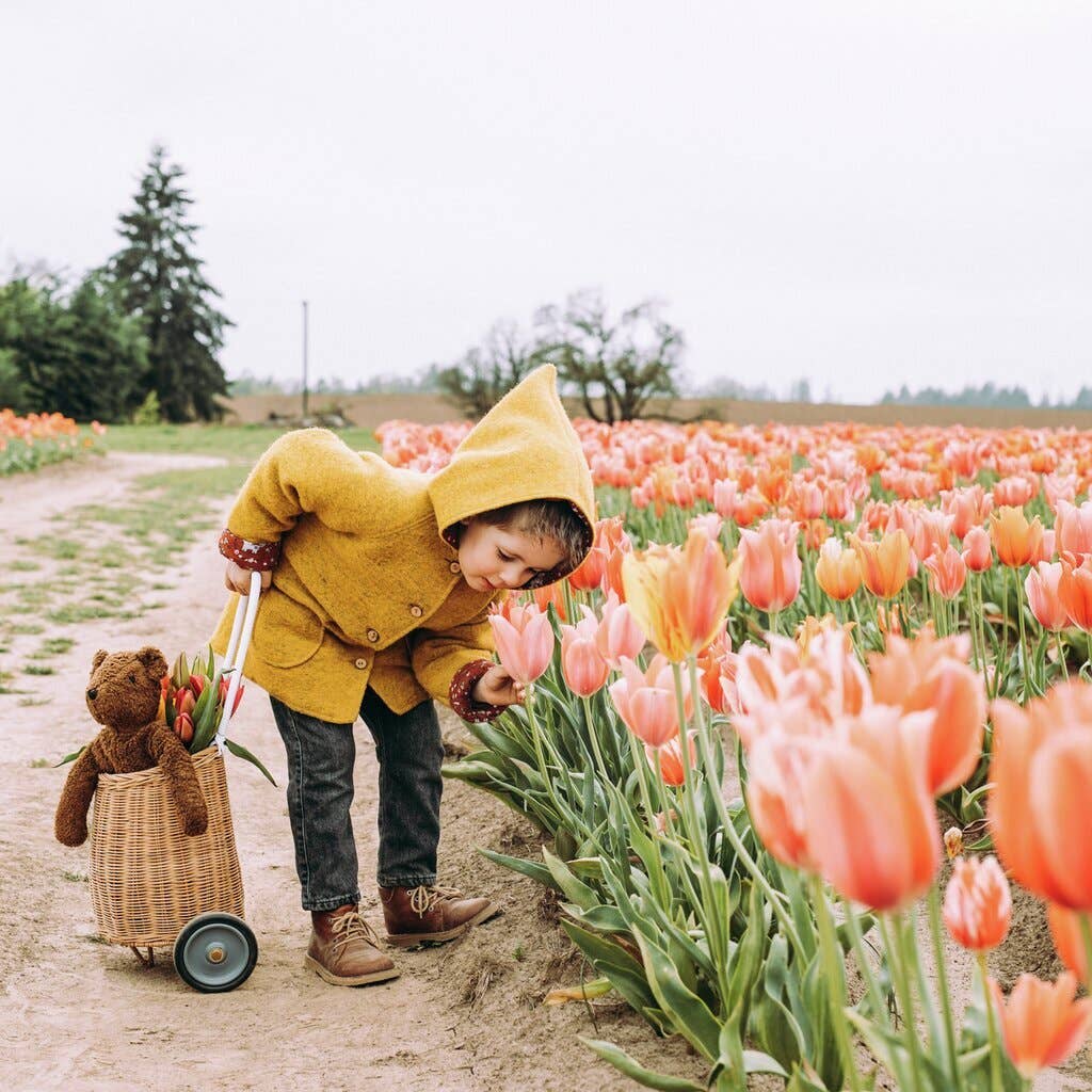 Senger-Naturwelt - Wholesale Stuffed/Plush Toy - Kids & Baby - Floppy animal Bear, large | brown4