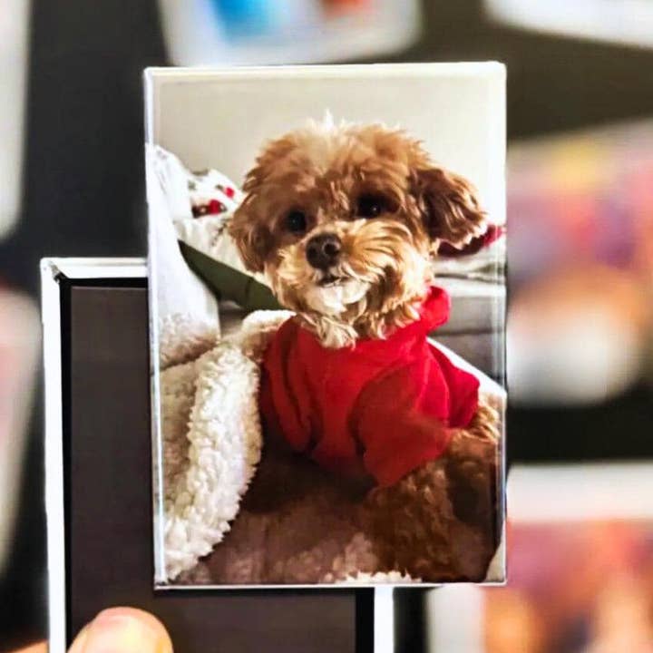 Tieu Magnetic - Wholesale Magnet - Custom 2x3 Photo Fridge Magnets Personalized Gift0