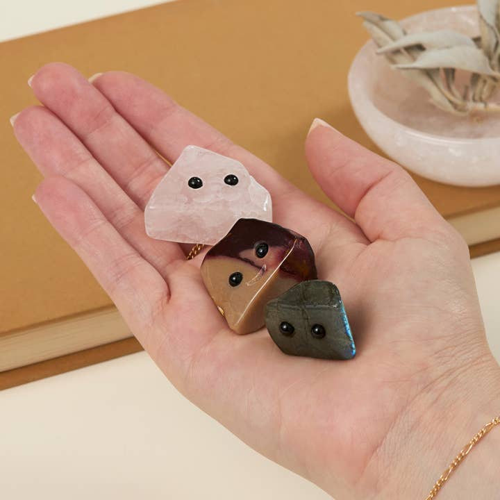 Crystal Friend Assortment - Pet Rocks for wholesale by GeoCentral