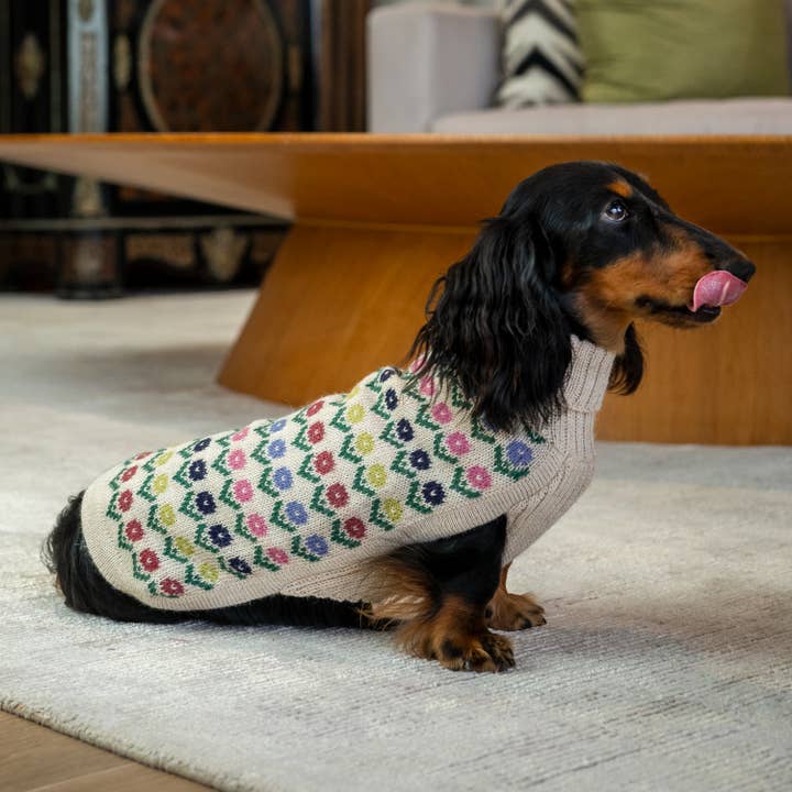 Alqo Wasi - Wholesale Pet Sweater - Dog - Flower Alpaca Dog Sweater2