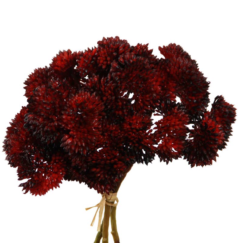 Floratexx – wholesale Konstgjorda blommor – Sedum midjeband 20 cm x 3 röd0