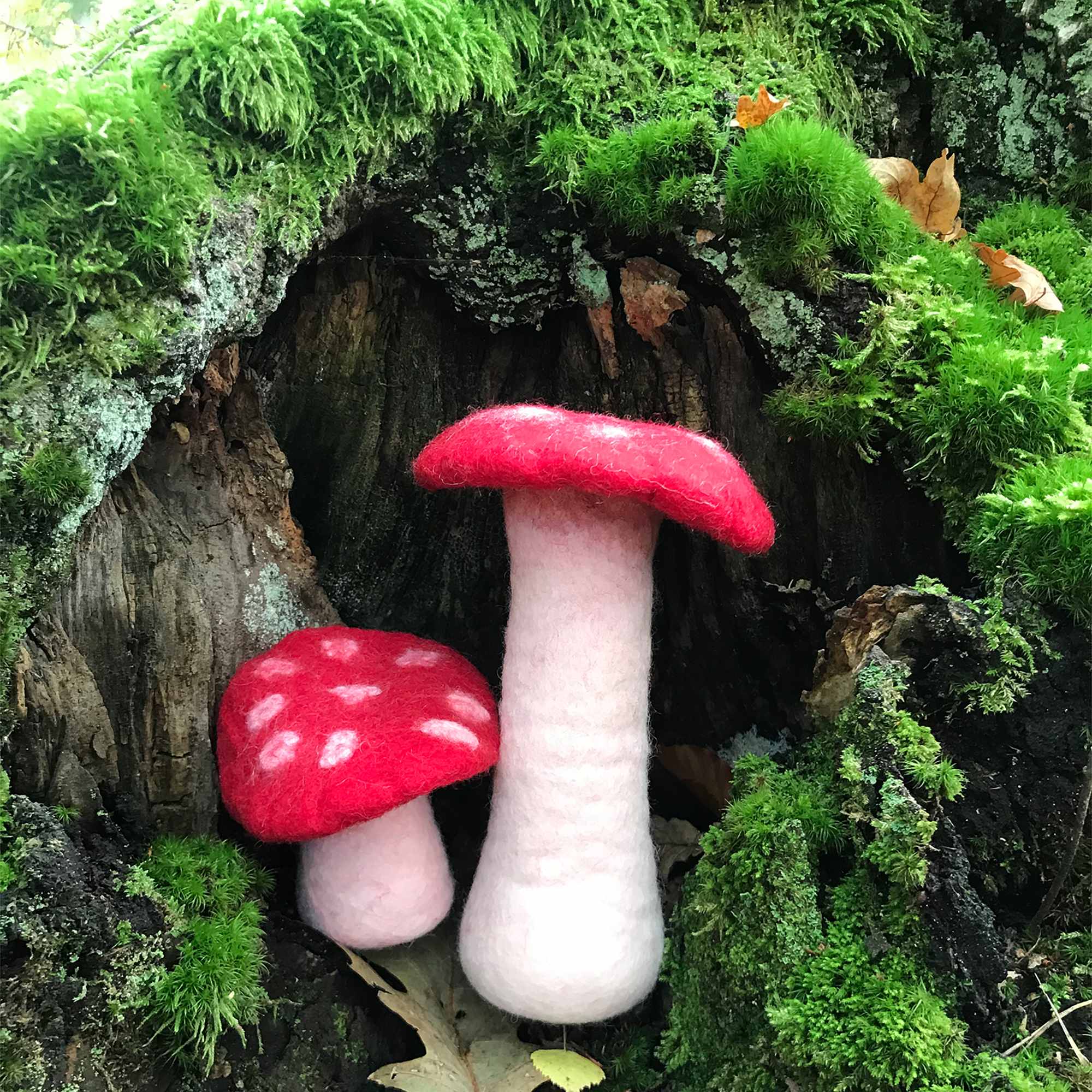 Tribal Trade GmbH - Vendita all'ingrosso Statuette decorative - Fungo amanita muscaria in feltro rosso, disponibile in 3 dimensioni21