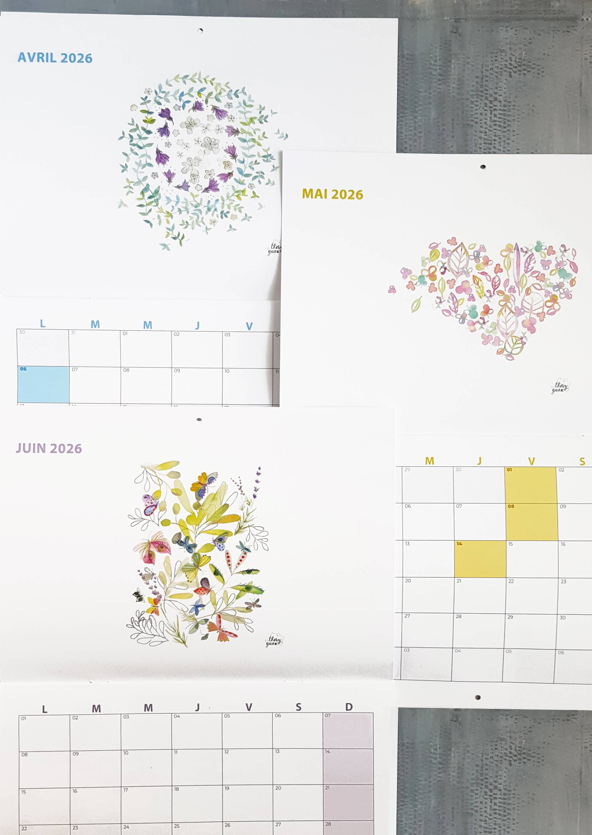 Thévy Guex - Wholesale Calendar - 2026 wall calendar watercolor illustration A3 format5