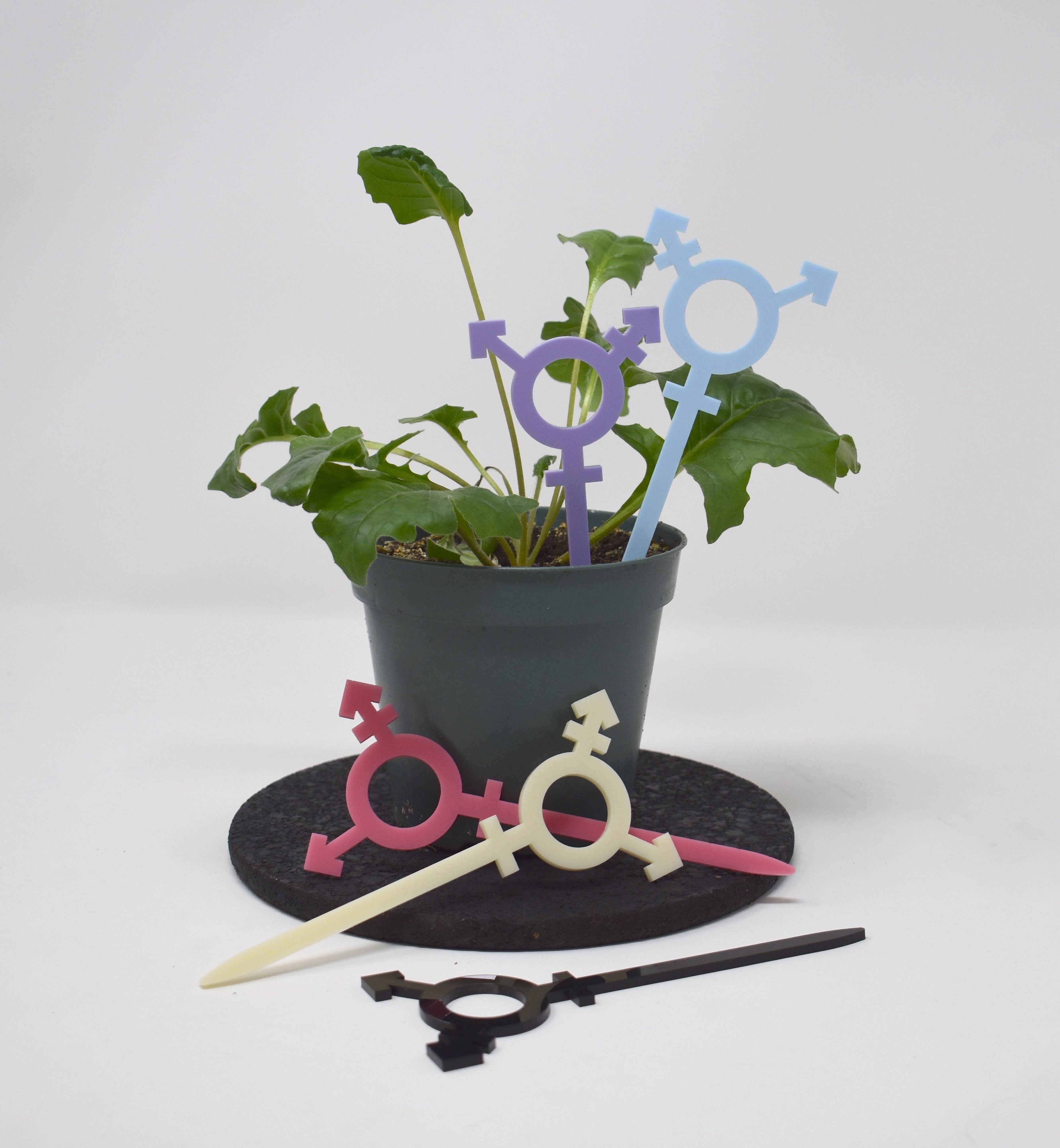 Morganite Press - Wholesale Plant Pot Stand - Transgender Symbol Plant Stake0