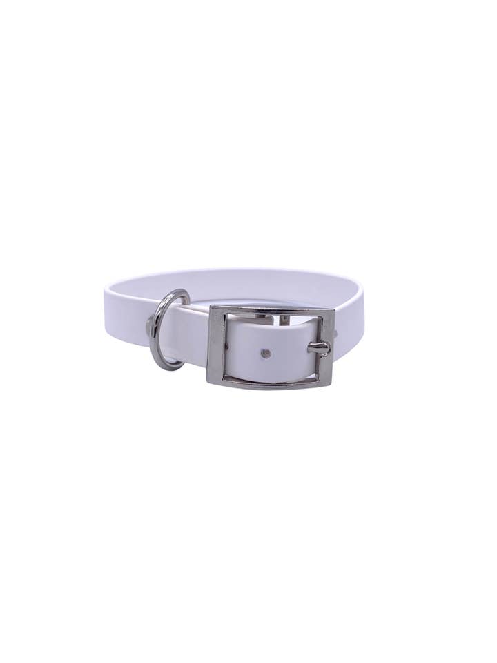 Collar BioThane blanco para venta al por mayor de Cavapoo Creations