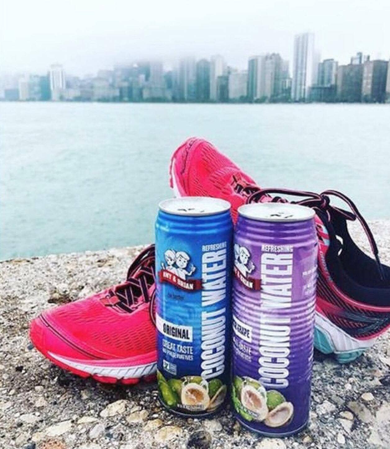 Amy & Brian - Wholesale Flavored/Infused Water (Non-Carbonated) - Amy & Brian Premium Coconut Water, Original -  17.5 Fl Oz4