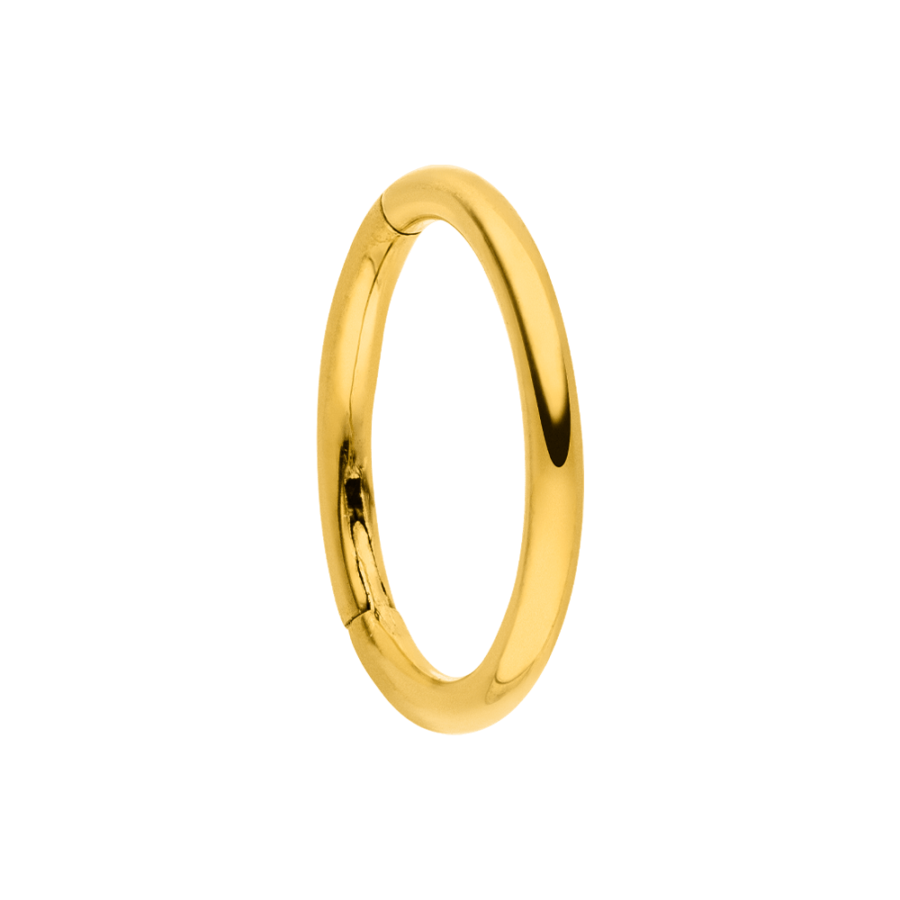 Schmuckgroßhandel – Brinco único por atacado – Simple Clicker | piercing de nariz e orelha6