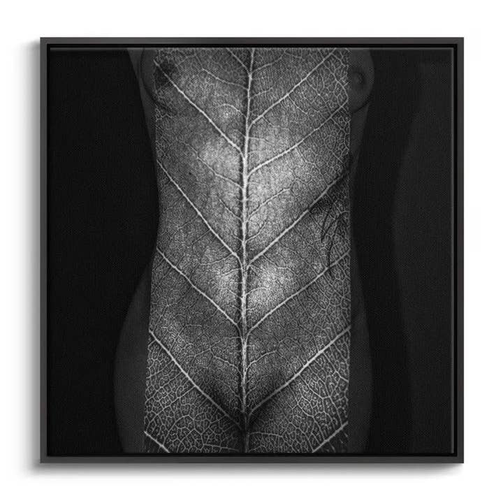 "FEUILLE DE VIE" pour la vente par Canvarisma