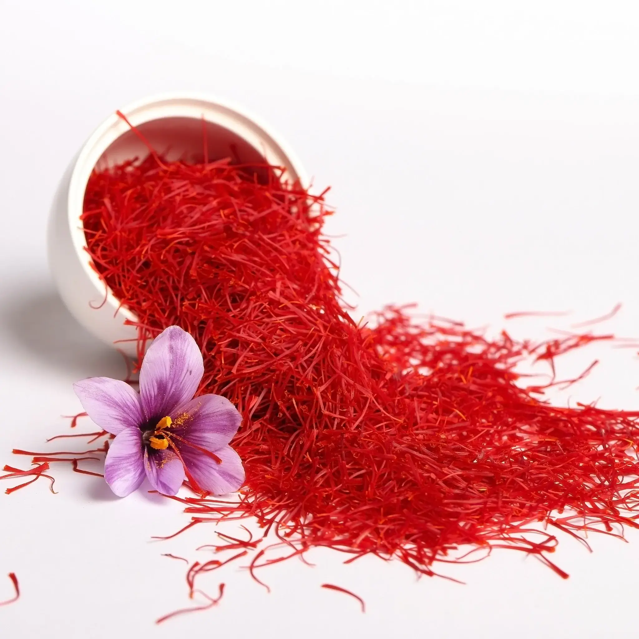 Provence Safran – Engroshandel Tørret krydderi – Økologisk safran 0,2 g2