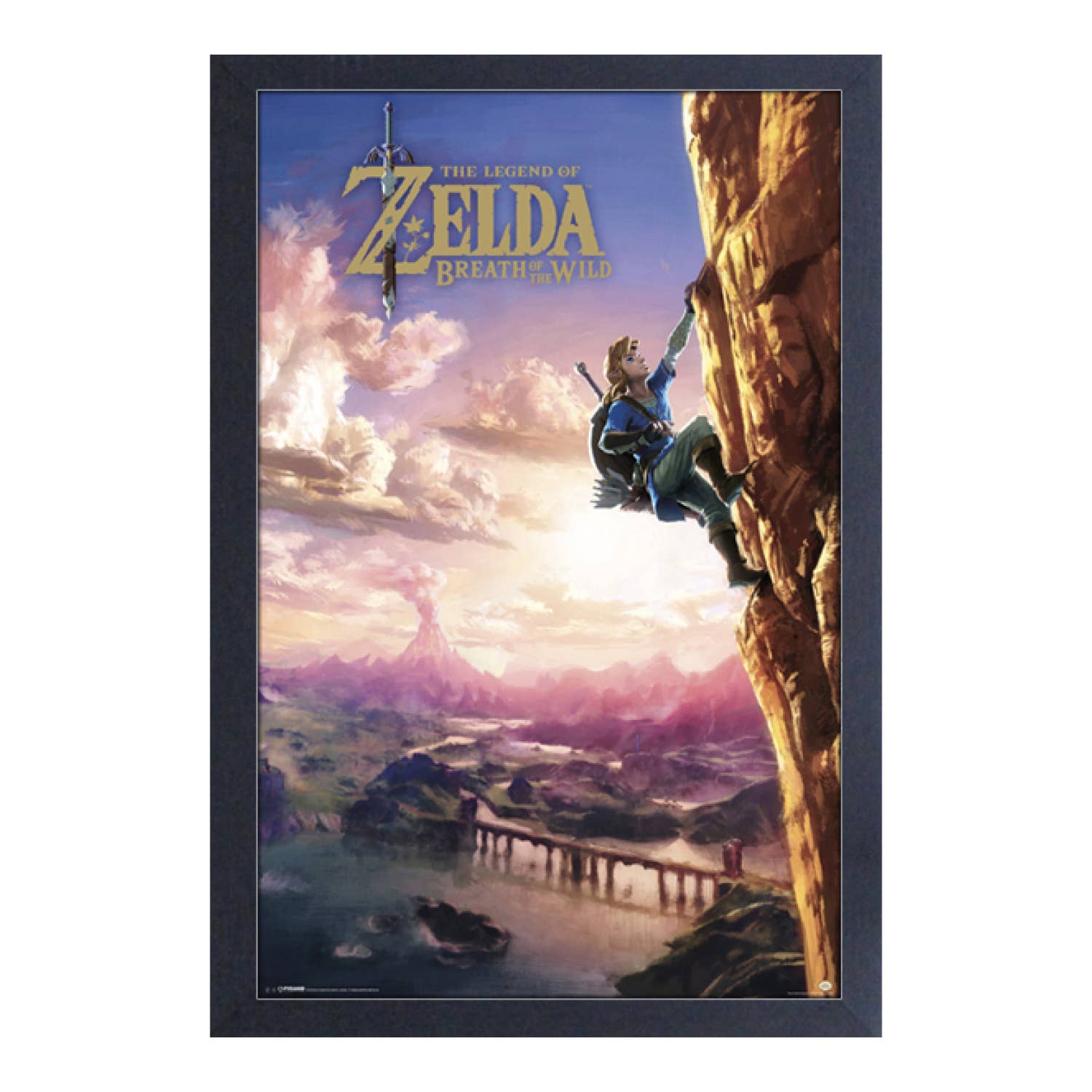 Loz Botw Totk Link Zelda Poster Art Print 11 X 17 