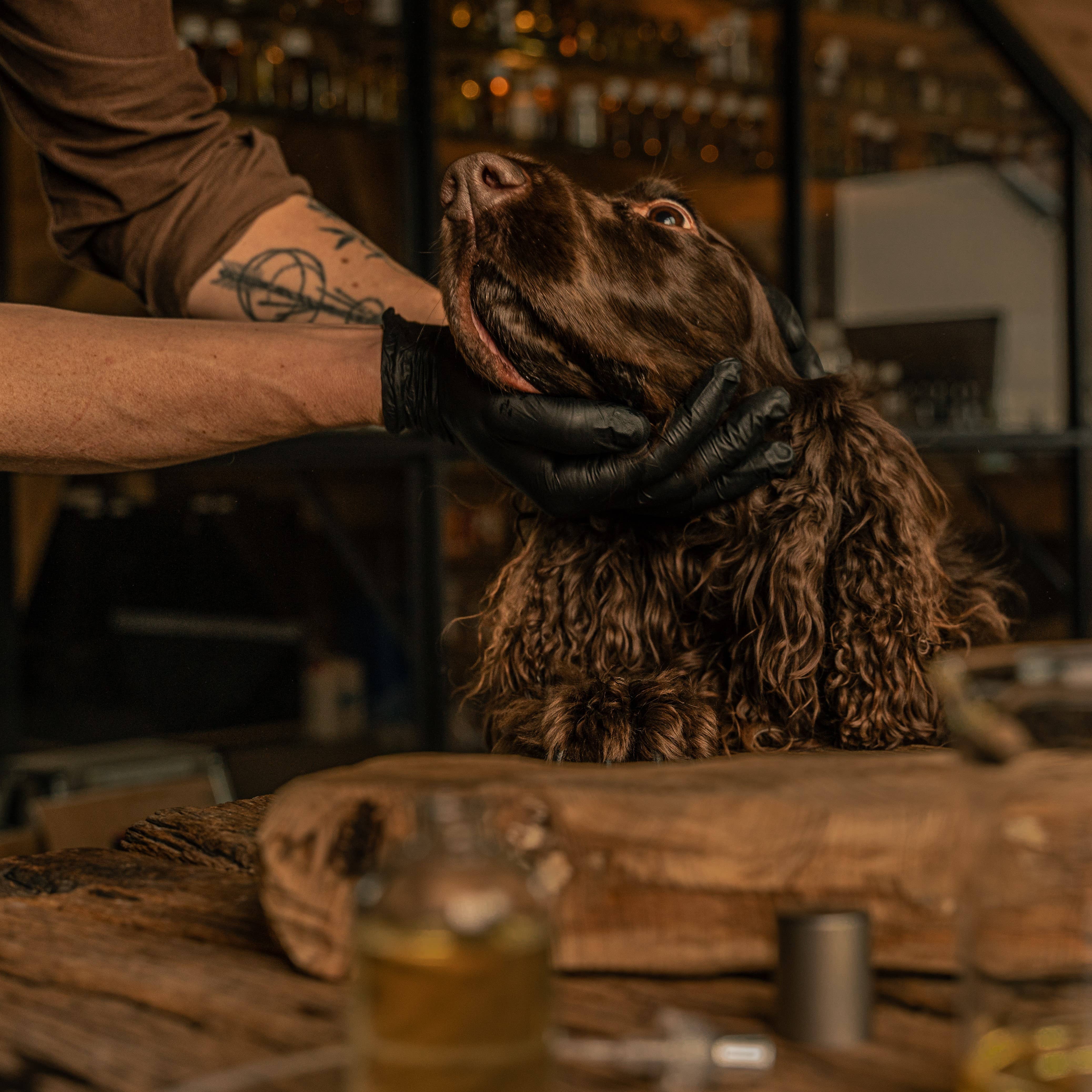 Frenky Lewis B.V. - Vente Spray – chien - Parfum pour Chien - Bois Nobles - 30ml - 100% Naturel2