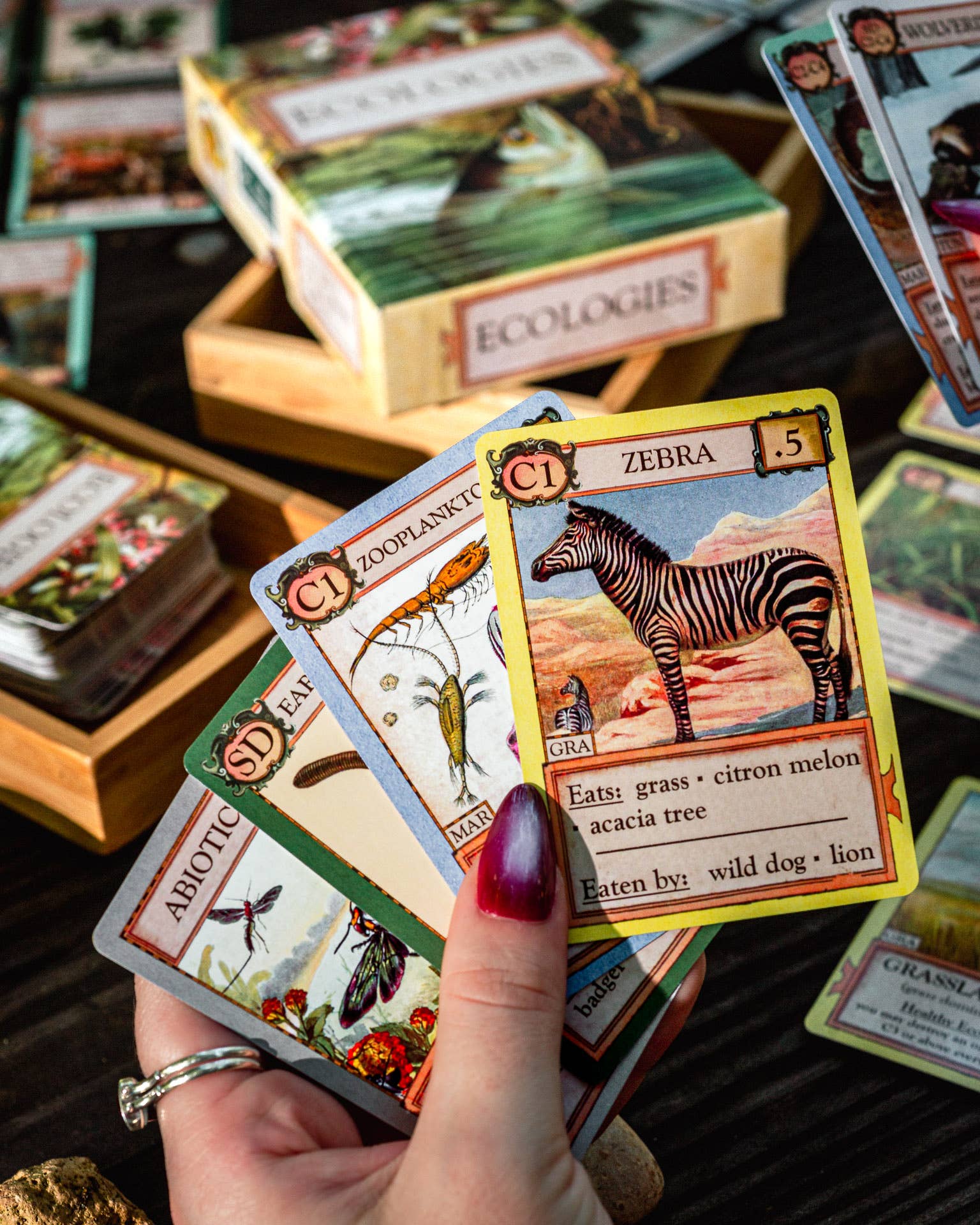 Montrose Biology - Wholesale Card Game - Ecologies Card Game12