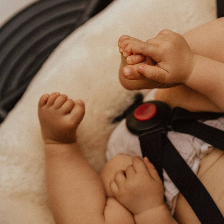 Miijo - Wholesale Stroller Cover/Accessory - Baby - Skin sheepskin stroller | 100% wool