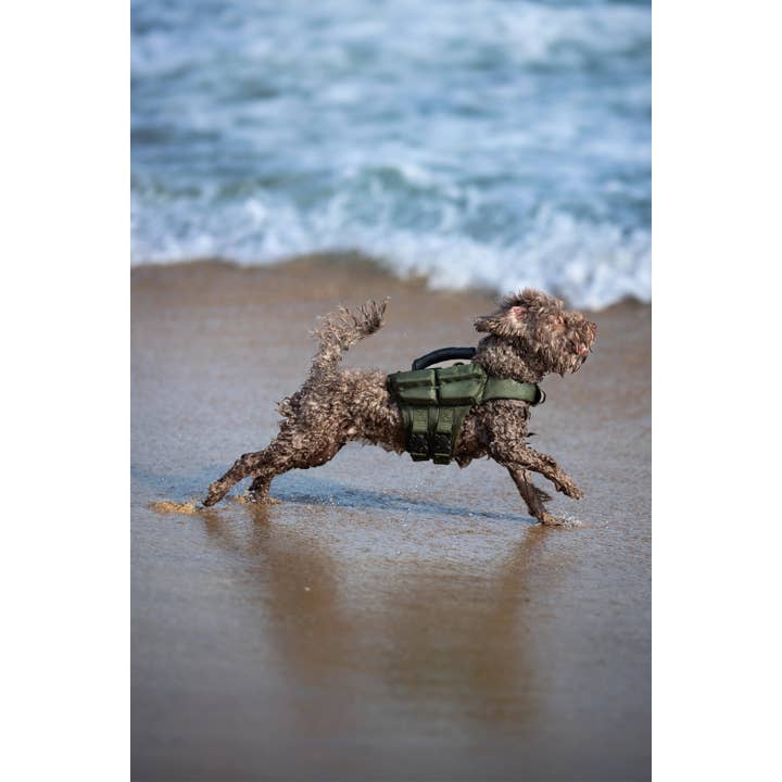 NOAH AND PAW LLC - Vente Veste – chien - Gilet de sauvetage pour chien NOAH AND PAW avec 4 mousses flottantes - Vert23