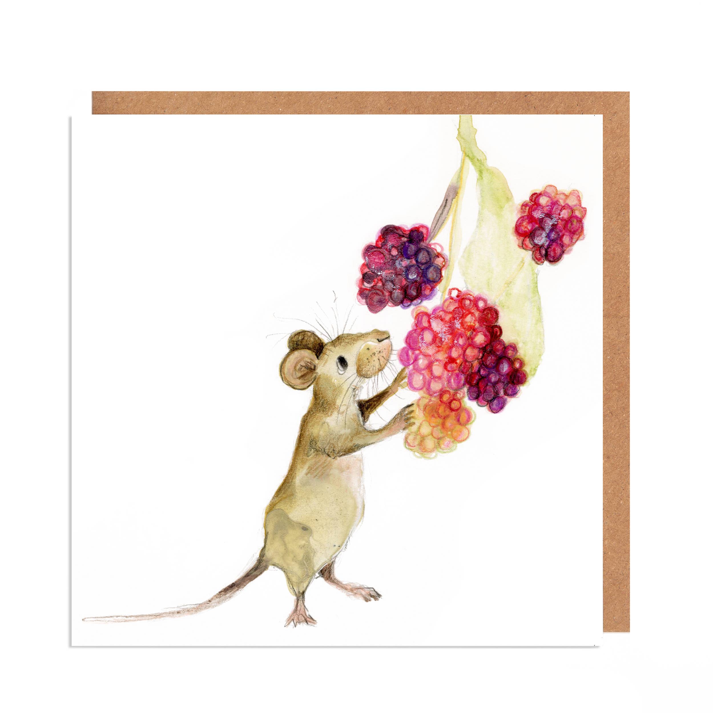 Catherine Rayner Trading Ltd - Vente Carte de vœux classique - Carte de vœux Eliza et la souris des champs aux framboises