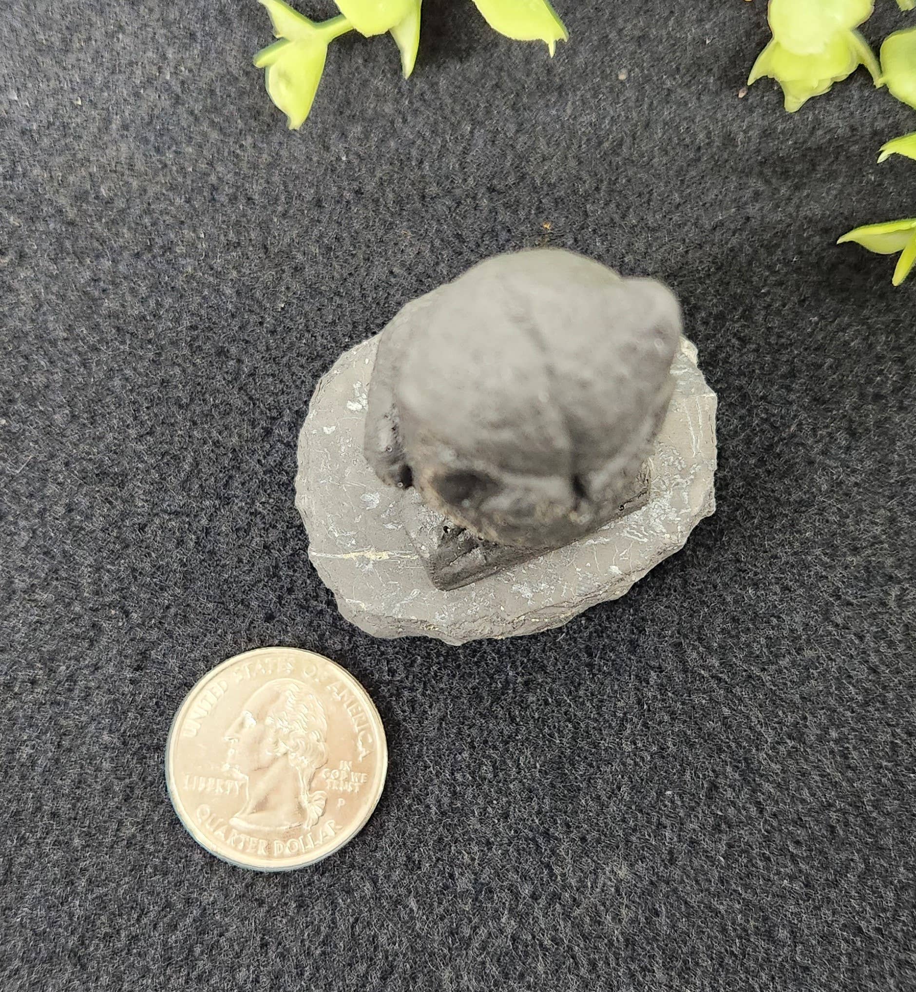 Meraki Gemstones - Vente Figurine décorative - Figurine Hibou de Face en Shungite (5,7 x 4,4 x 5,7 cm)5