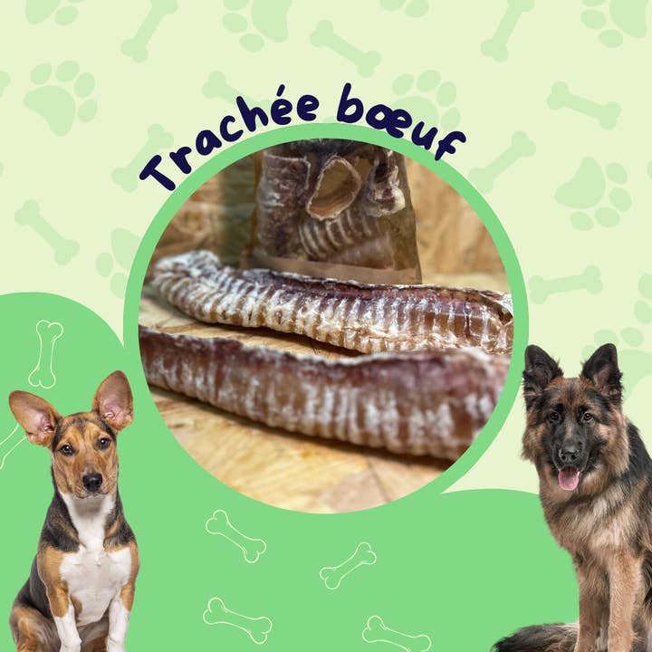 JF animalerie - Wholesale Pet Treats - Dog - Beef trachea 30 cm 1KG/Dog treat