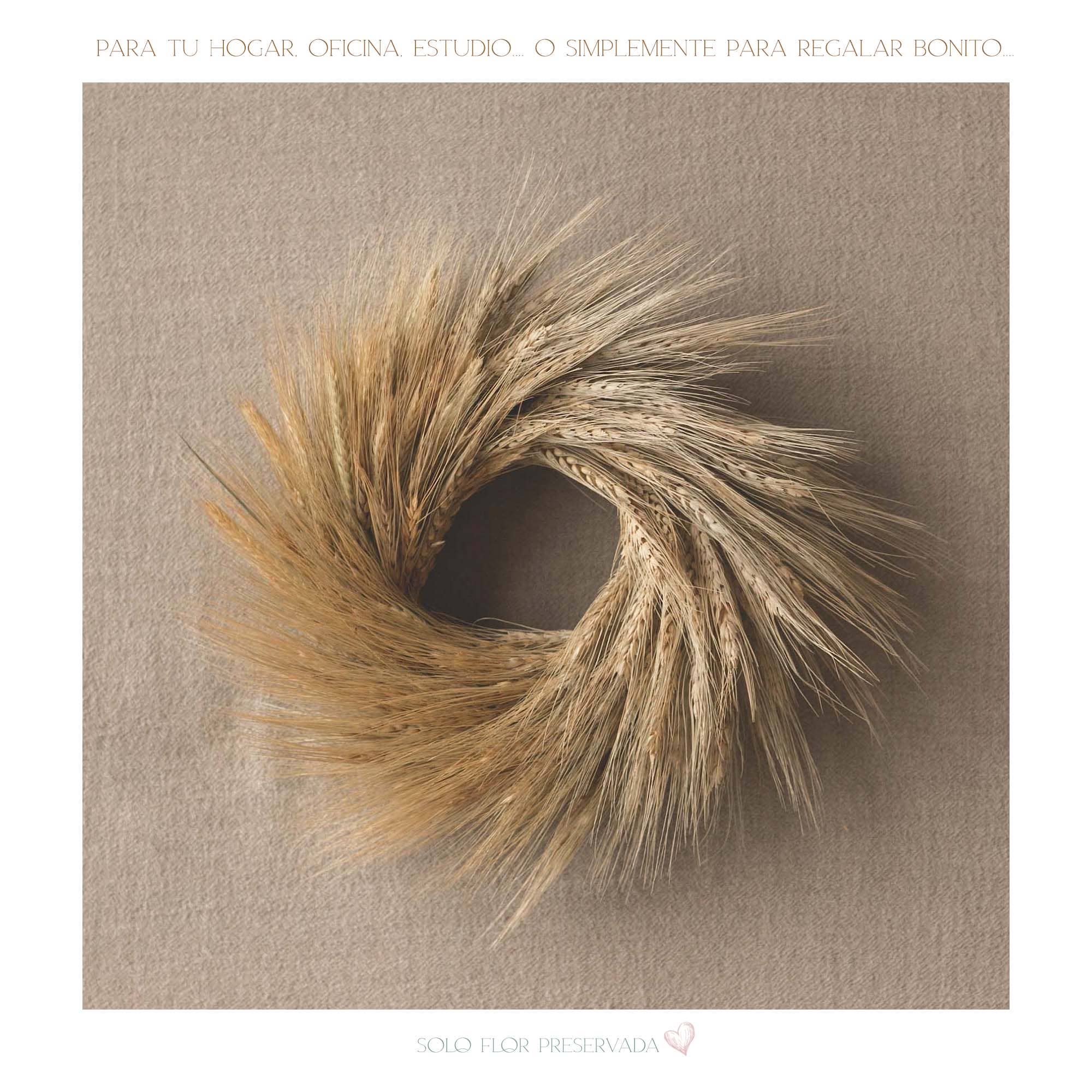 Verde Oliva Coronitas - Wholesale Wreath - Corona wall natural wheat - Regular