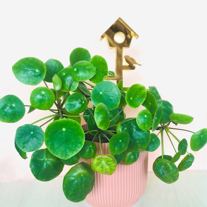 Plantstand L Birdhouse for wholesale by All Things We Like