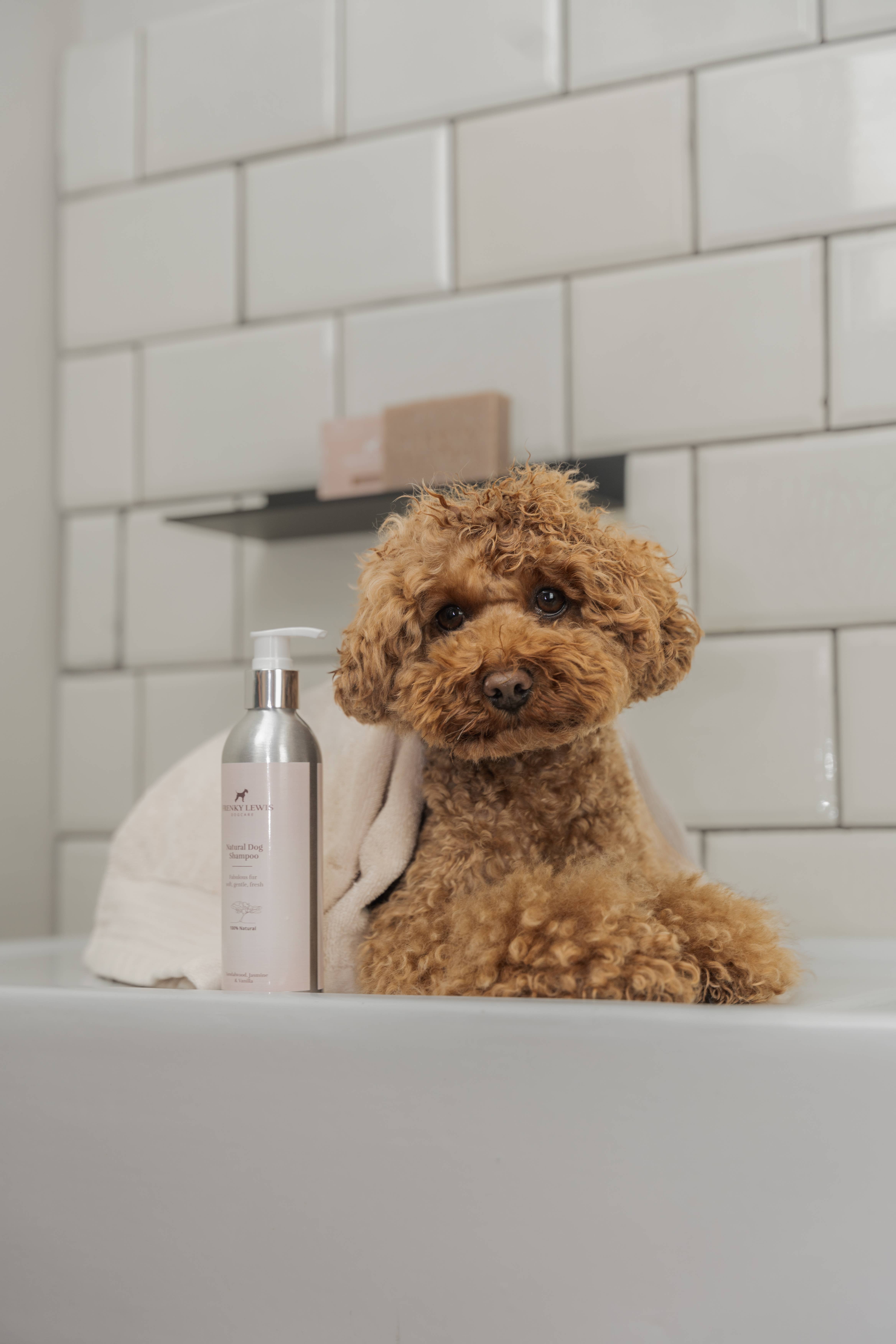 Frenky Lewis B.V. - Wholesale Pet Shampoo - Dog - Hondenshampoo - 200ml - Groene Thee & Bergamot3