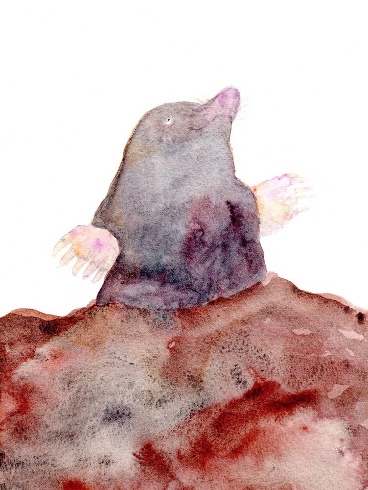 Mullvad för wholesale av SAS {Seattle Art Studio}