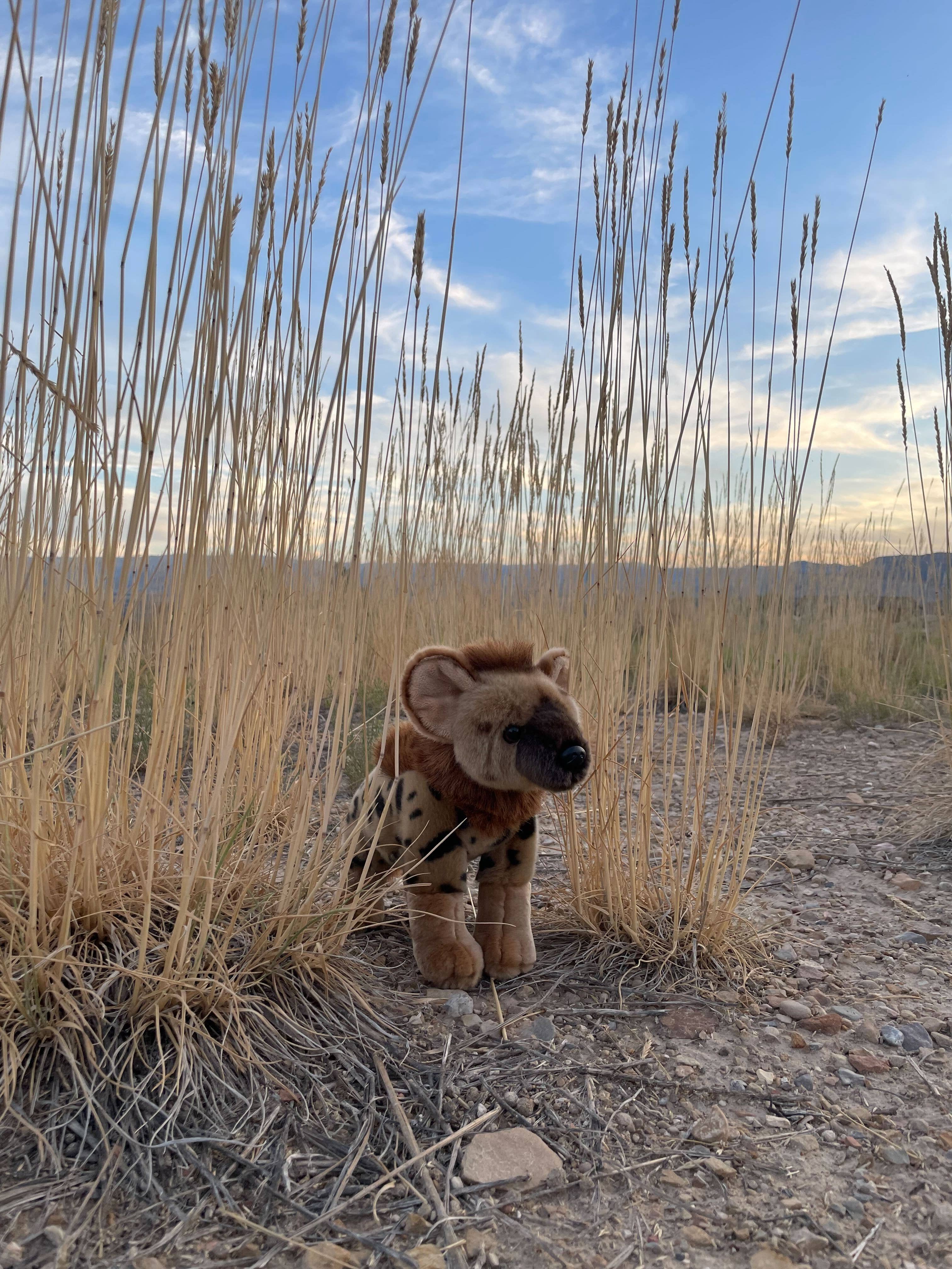 Wildlife Tree - Wholesale Stuffed/Plush Toy - Kids & Baby - 11" Hyena Stuffed Animal4
