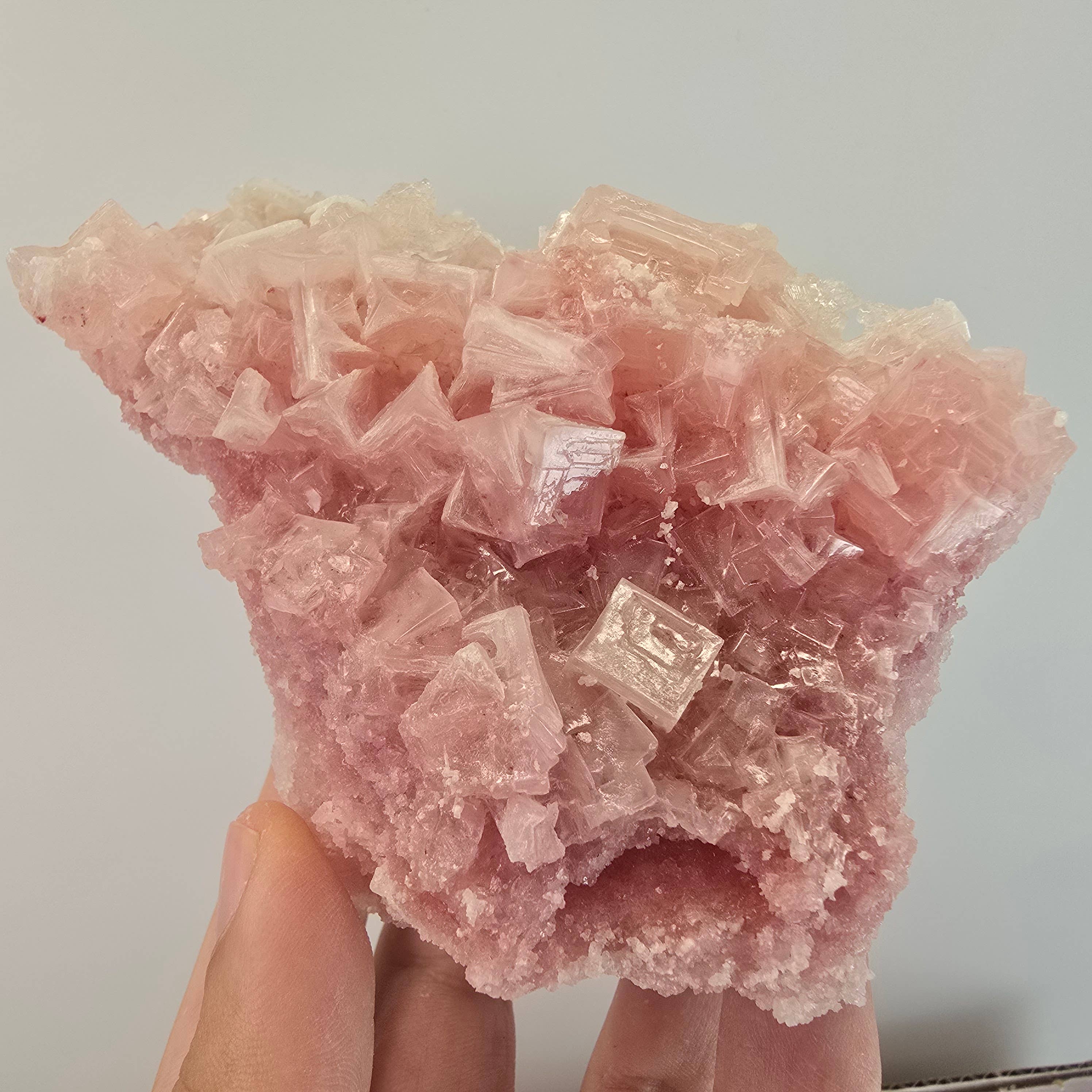 Aquamarine Daydream Wholesale - Wholesale Spiritual Stone/Crystal - 6pc Pink Halite ~ Bulk Mineral Flats ~ Crystal Specimens #58