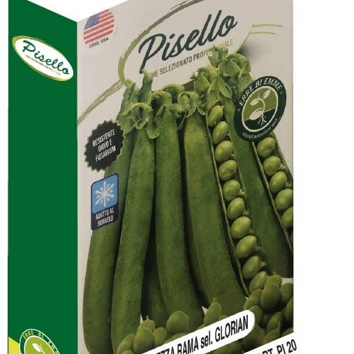 Sementi & Barbatelle - Wholesale Plant Seeds - Half-Rama Pea Sel.Glorian