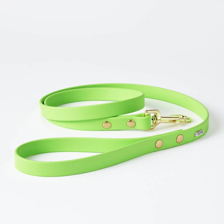 Trela de Couro Vegan Lime por atacado de Hot Dogs All Dressed