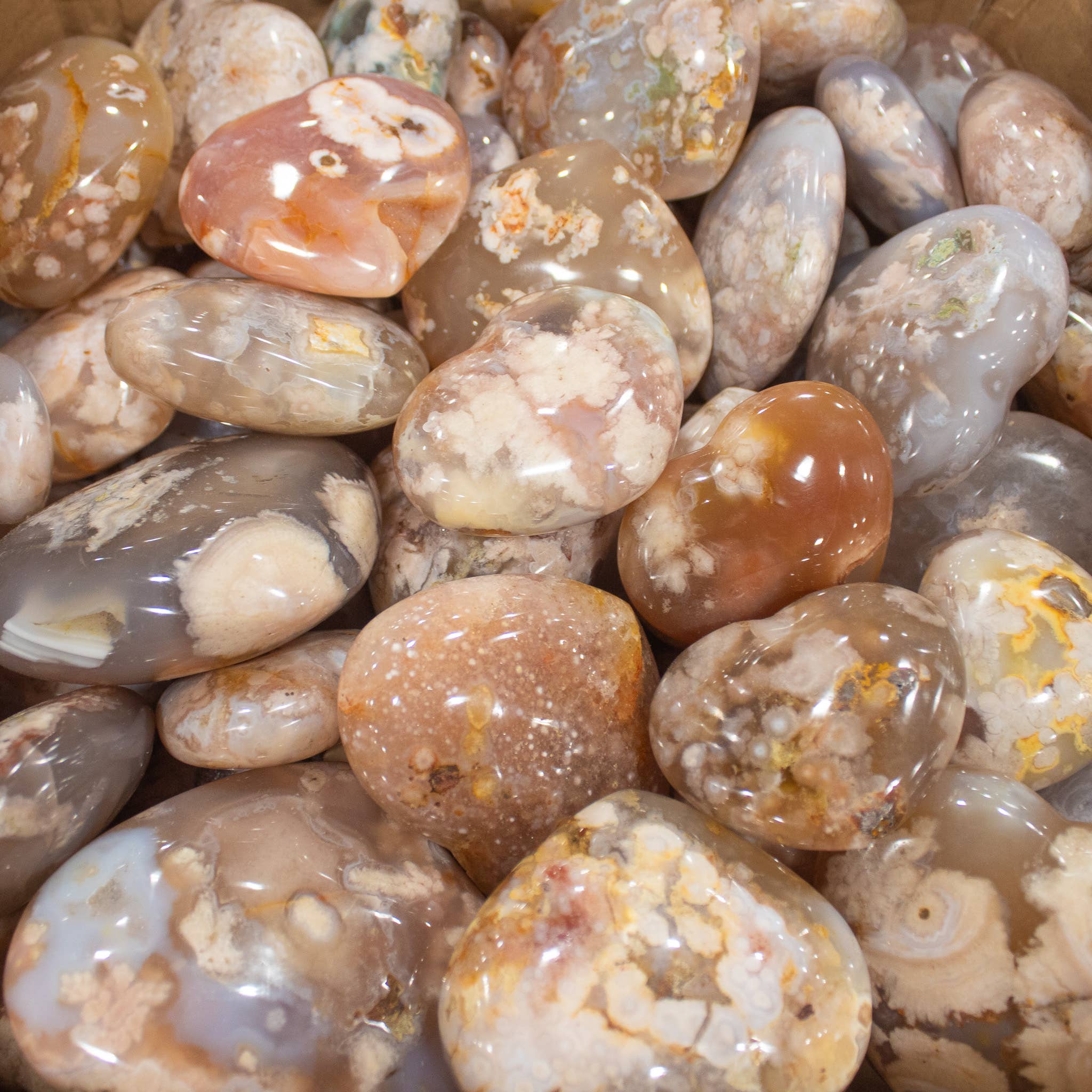 Quasar Gems USA - Wholesale Spiritual Stone/Crystal - Flower Agate Hearts1