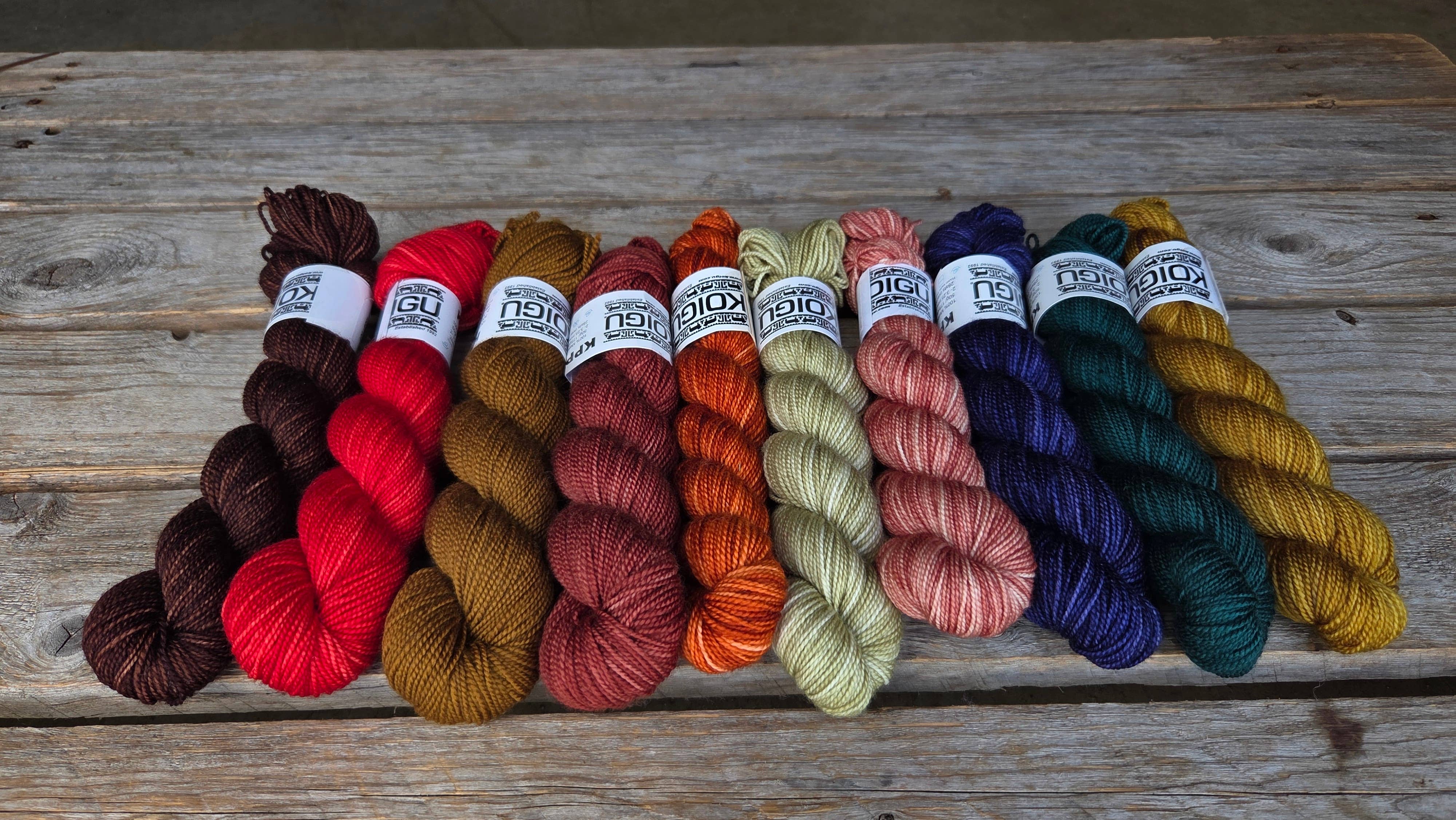 Koigu Wool Designs - Vendita all'ingrosso Lana - Palette KPM del Ringraziamento (filato merino fingering)12