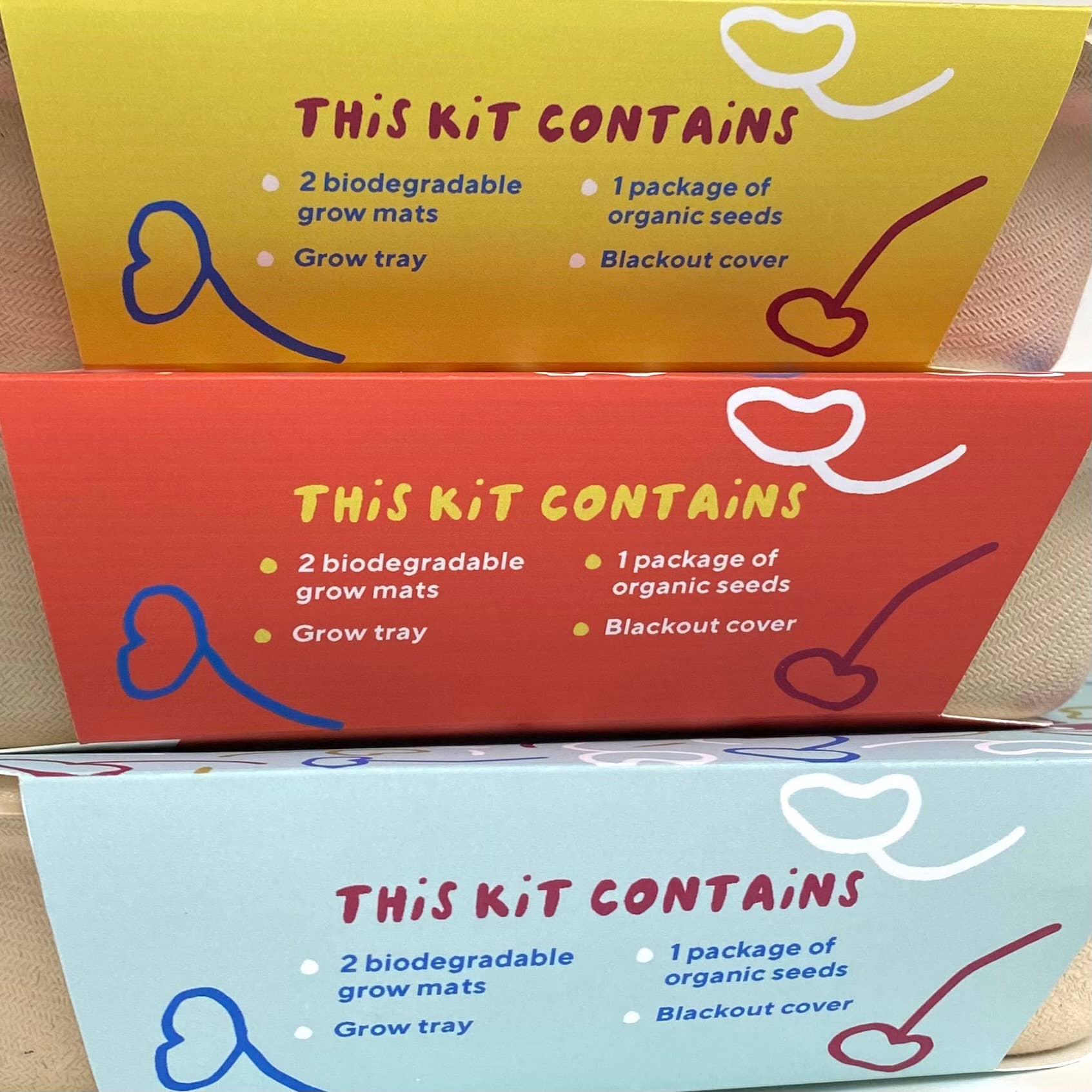 Orange Pippins - Wholesale Plant Seeds - Windowsill Salad Kit: ORGANIC Confetti Salad Mix6