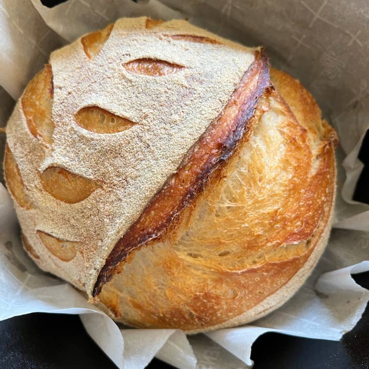 Whispering Willow Farm - Wholesale Bread Mix - Otis | Sourdough Starter