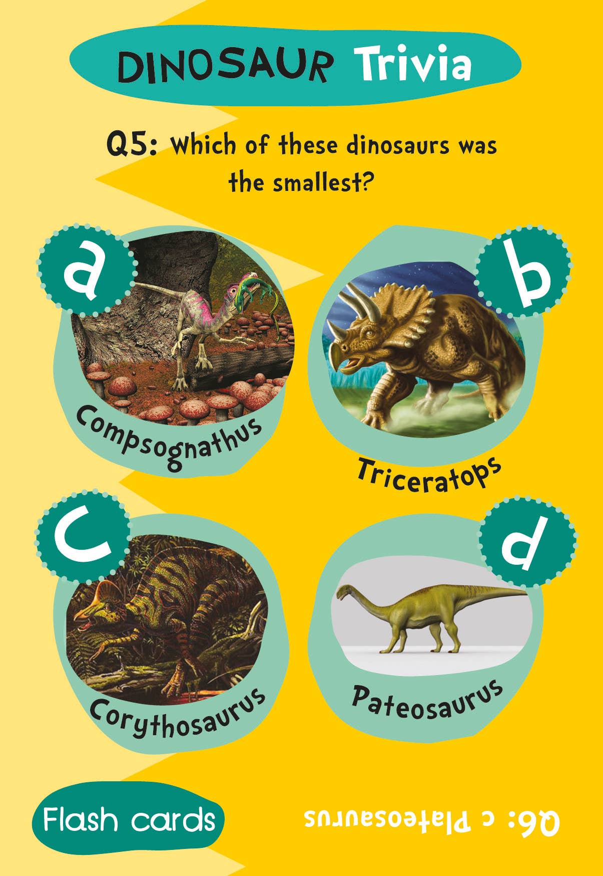 Robert Frederick Ltd – wholesale Learning cards – Child & baby – Flash Cards - Dinosaur Trivia4