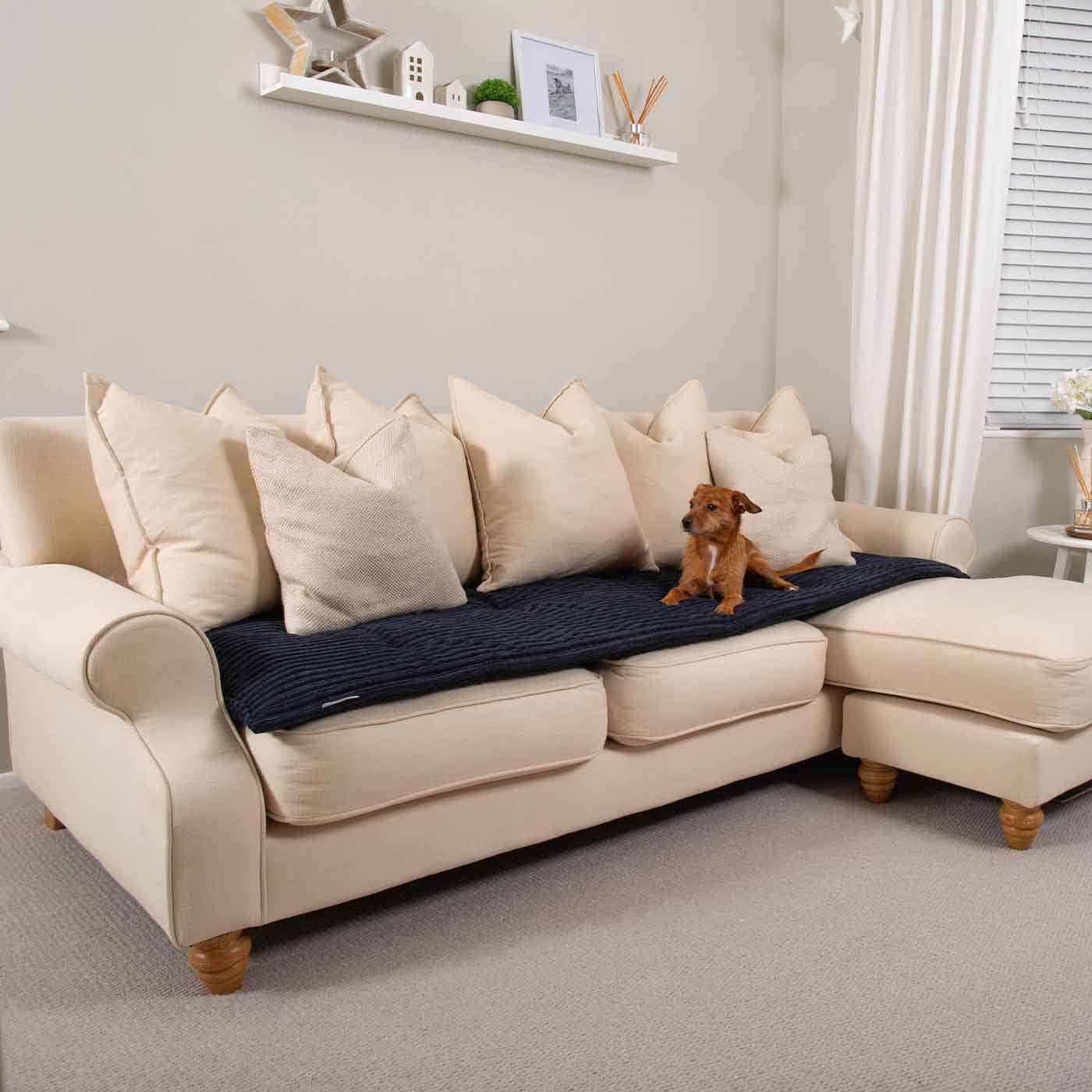 Navy pluche Sofahoes Navy Essentials Plush van Lords & Labradors voor groothandel op Faire9