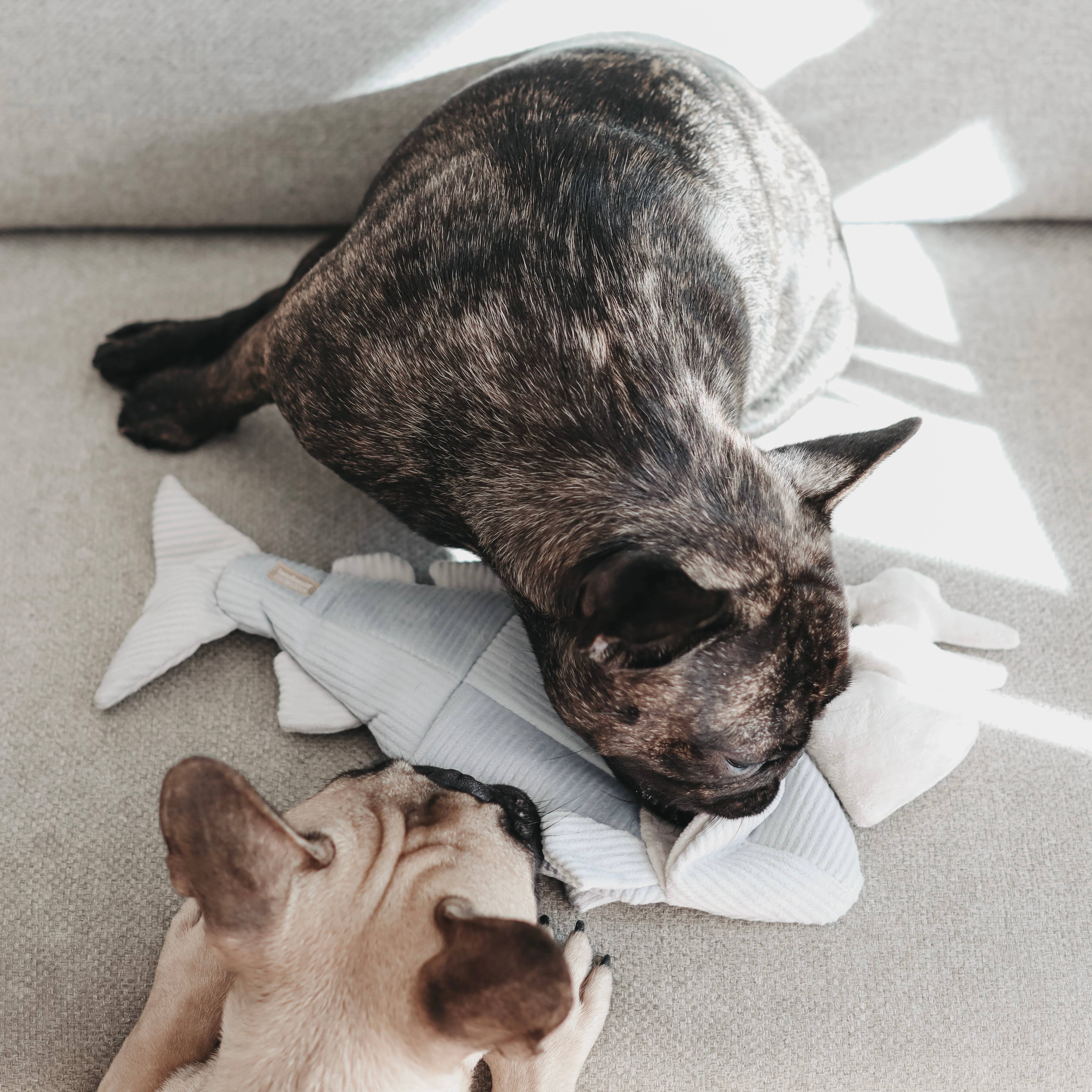 Lambwolf Collective – Engroshandel Legetøj - Hund – ØRRED//BERIGELSE HUND LEGETØJ3