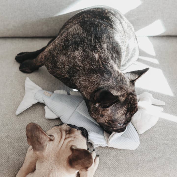 Lambwolf Collective - Wholesale Pet toy – Dog - TROUT//ENRICHMENT DOG TOY3