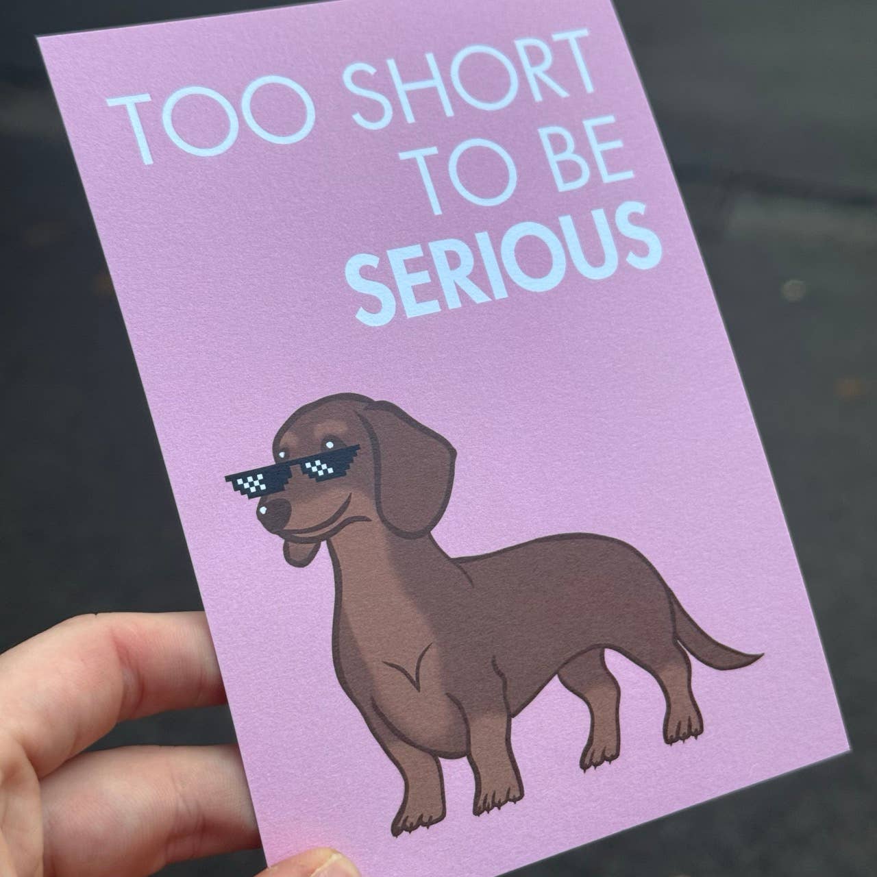 LOLLYPOPARTSTUDIO - Wholesale Everyday Greeting Card - Carte Teckel « Too short to be serious »4