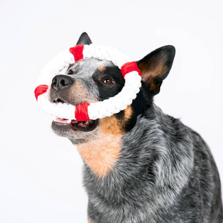 LABONI - Volentis GmbH - Wholesale Pet Rope Toy - Dog - Rita lifebuoy6