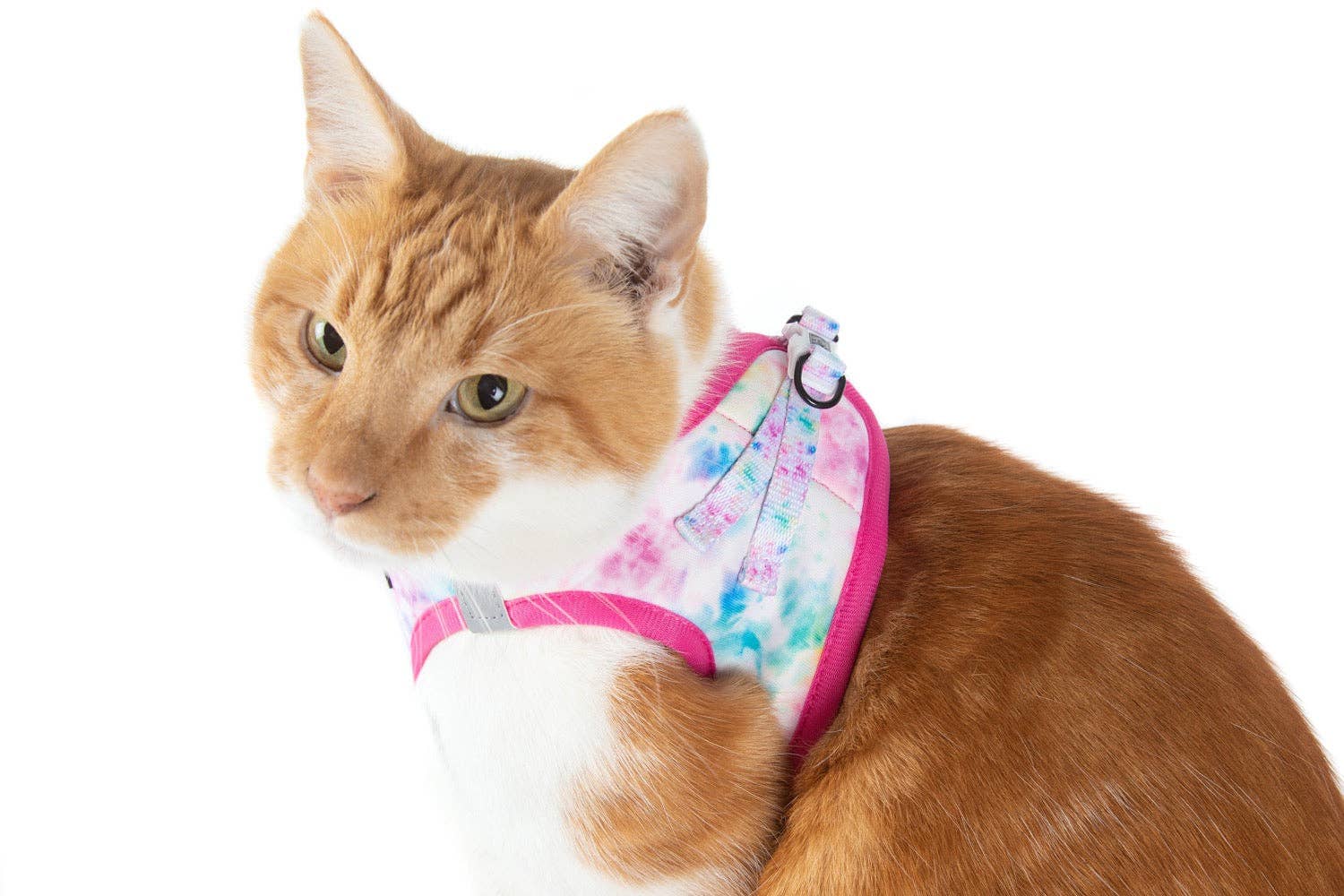 Little Kitty Co. - Wholesale Pet Harness - Cat - CAT STEP IN HARNESS: Cotton Candy4