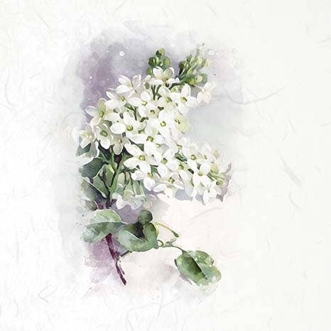 RSM072 rice paper 6 different graphics 15x15 cm / 5.8x5.8 in for wholesale by ITD Collection