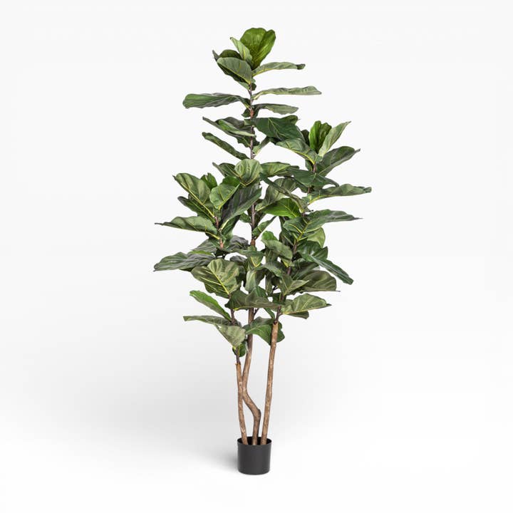 7' Fiddle Leaf Fig Tree FP1406 for wholesale by Replica Plants and Decor