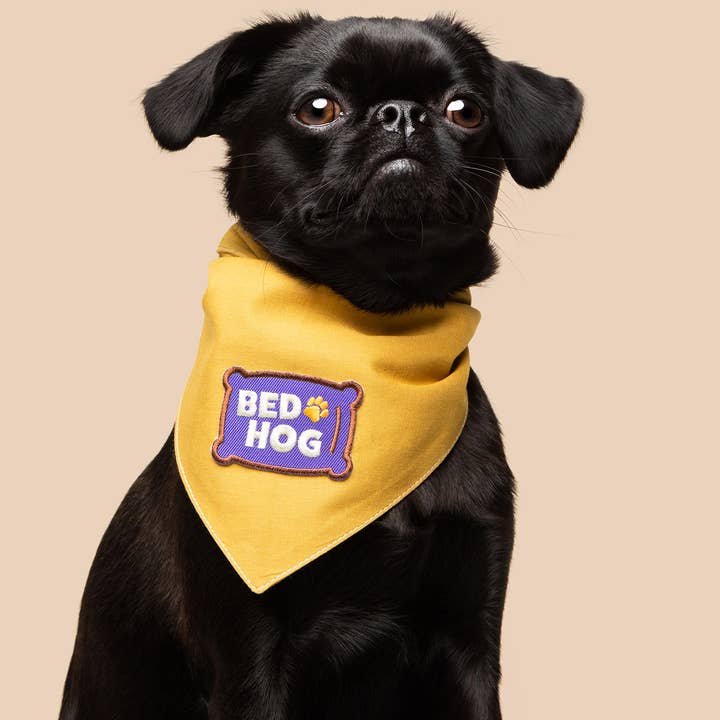 Scout's Honour Pty Ltd – Engroshandel Bandana - Hund – Bed Hog strygemærke til hunde og katte2