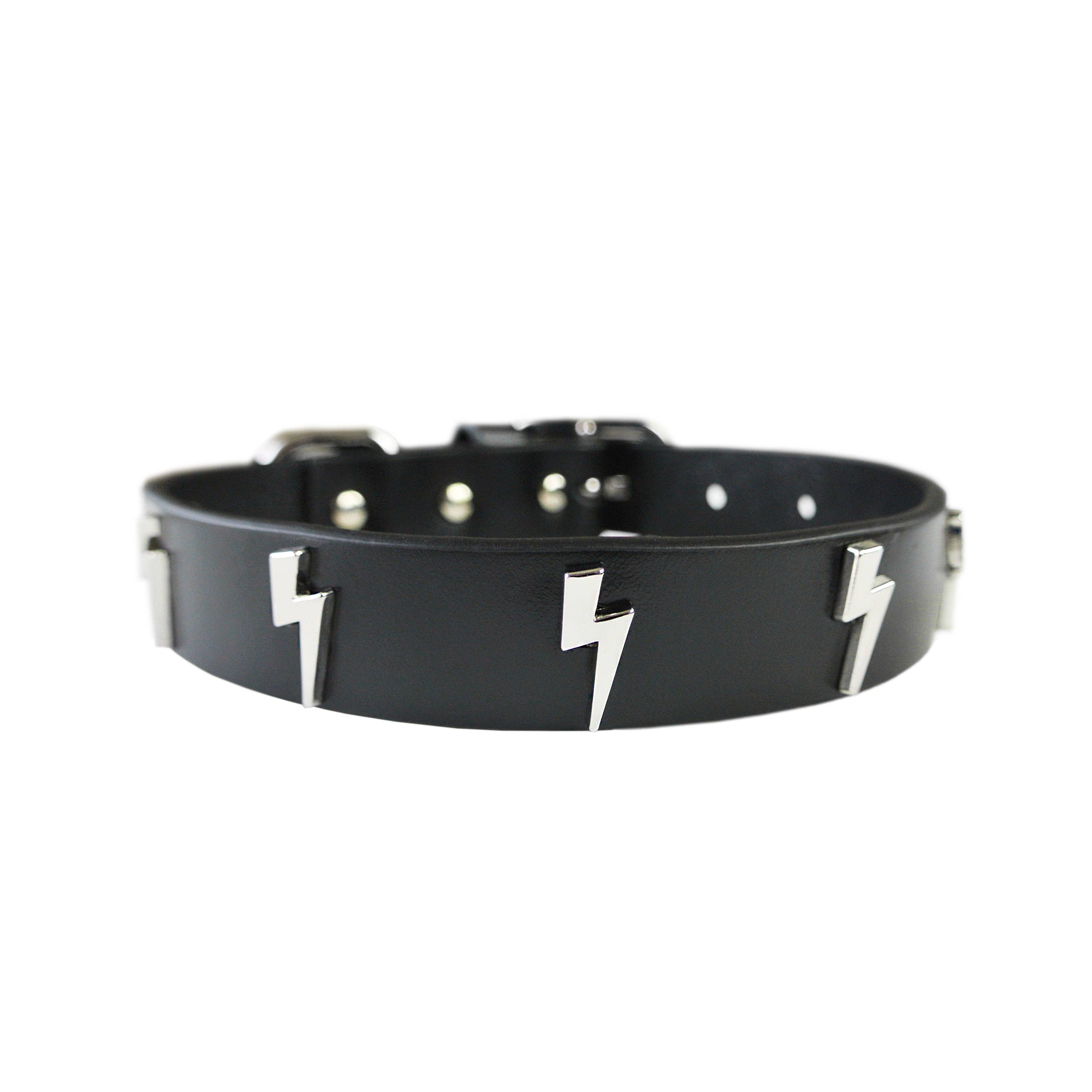 eye of dog - Wholesale Pet Collar - Dog - Lightning Bolt Collar6