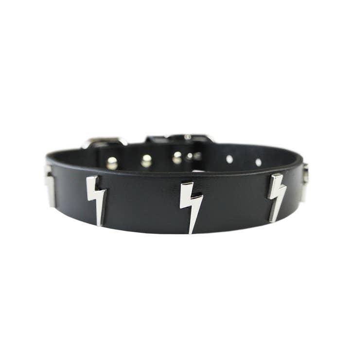 eye of dog - Wholesale Pet Collar - Dog - Lightning Bolt Collar6