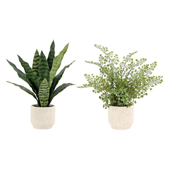 16" Faux Snake Plant & Fern Set for wholesale by CG Hunter