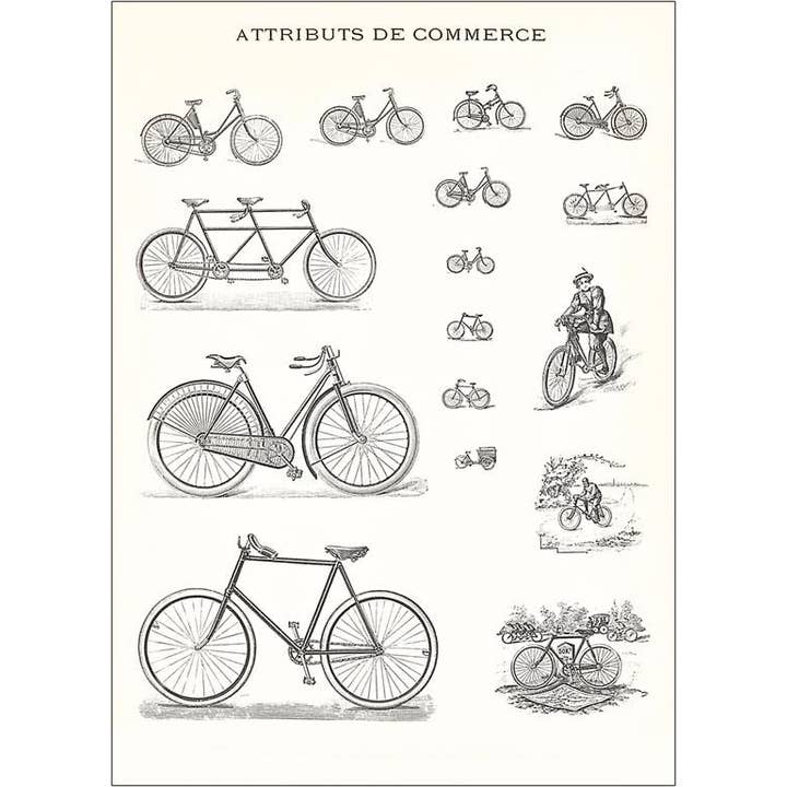 Found Image Press – wholesale Vykort – Vykort CY-128 Olika typer av cyklar